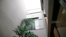 Mimosa Road (D28), Terrace #476440031